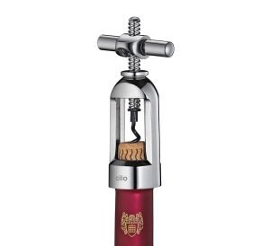 cilio kamsciatraukis tradizione